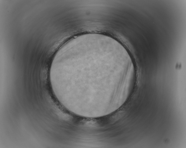 X0000111890113200908201331