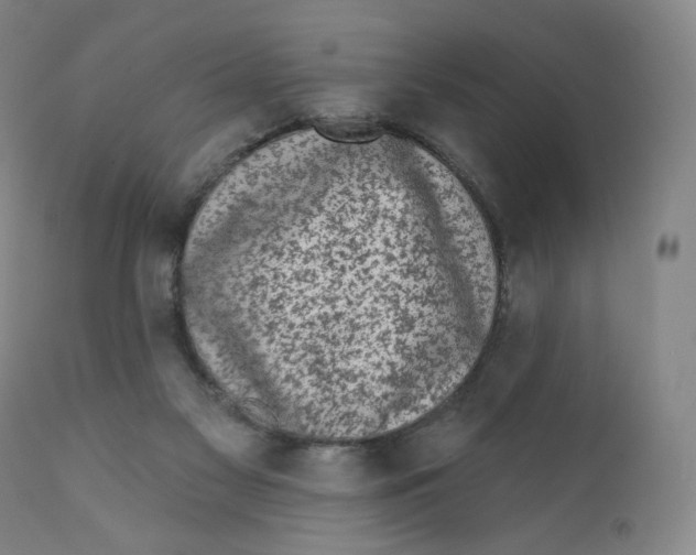 X0000111890117200908201331