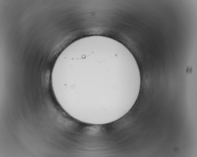 X0000111890118200908201331