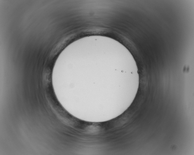 X0000111890119200908201330