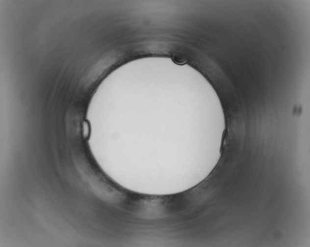 X0000111890120200908201330