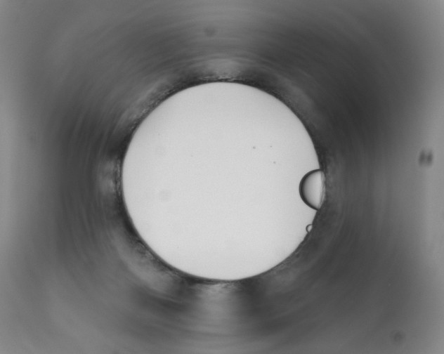 X0000111890122200908201330