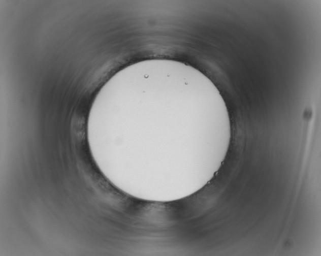 X0000111890123200908201330