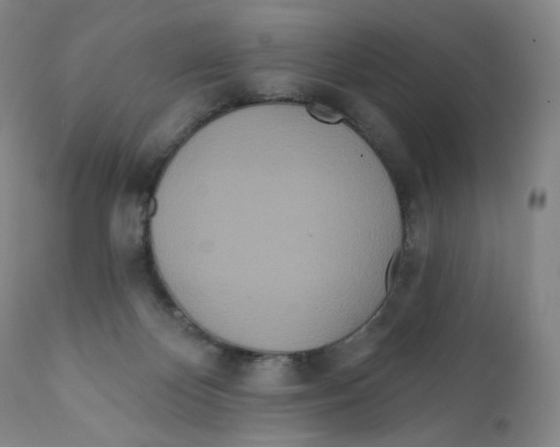 X0000111890124200908201330