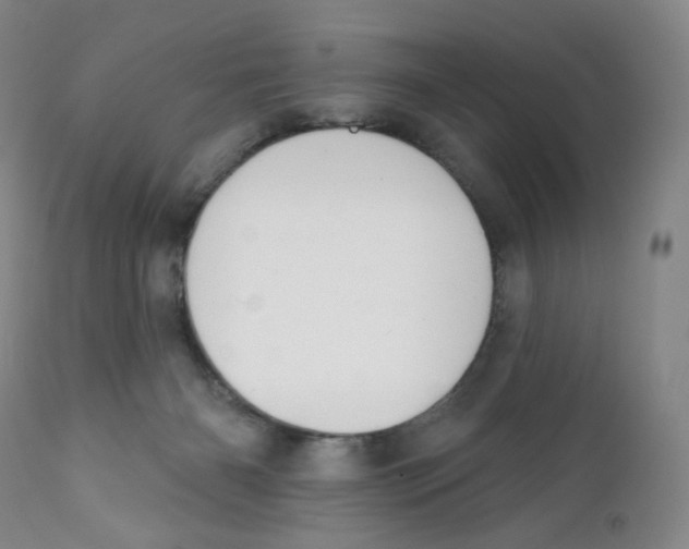 X0000111890126200908201330