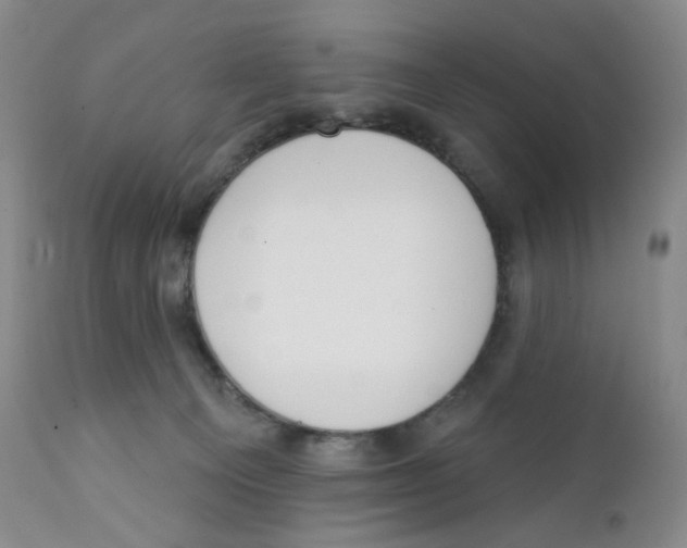 X0000111890129200908201330