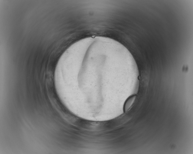 X0000111890130200908201330