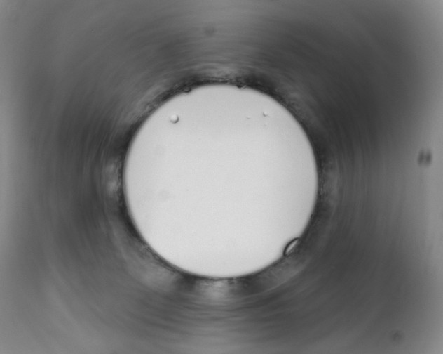 X0000111890131200908201330