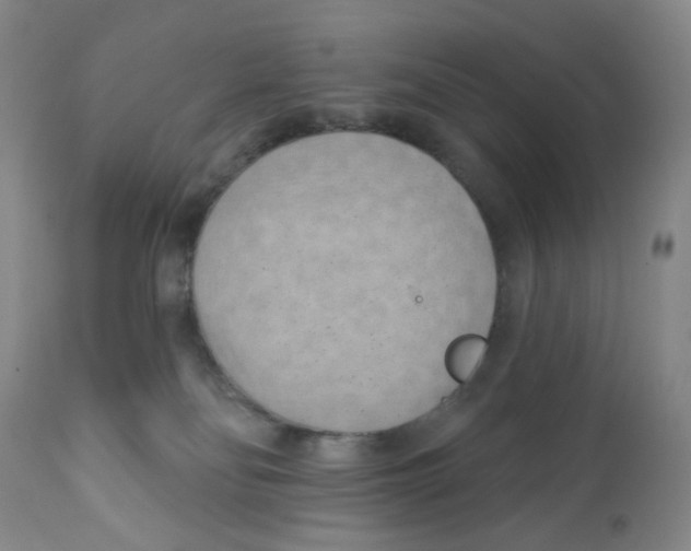 X0000111890134200908201330