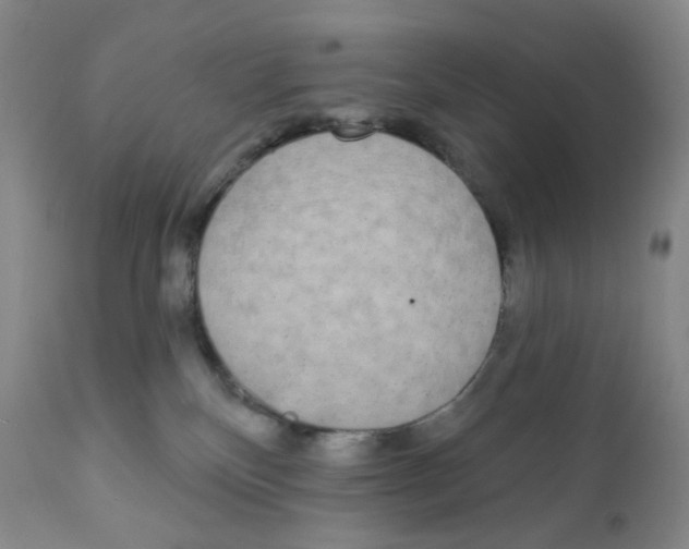 X0000111890136200908201330