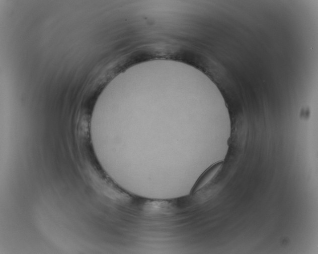 X0000111890137200908201330