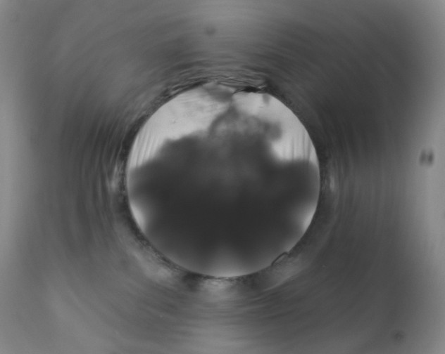 X0000111890139200908201330