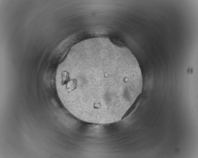 X0000111890140200908201330