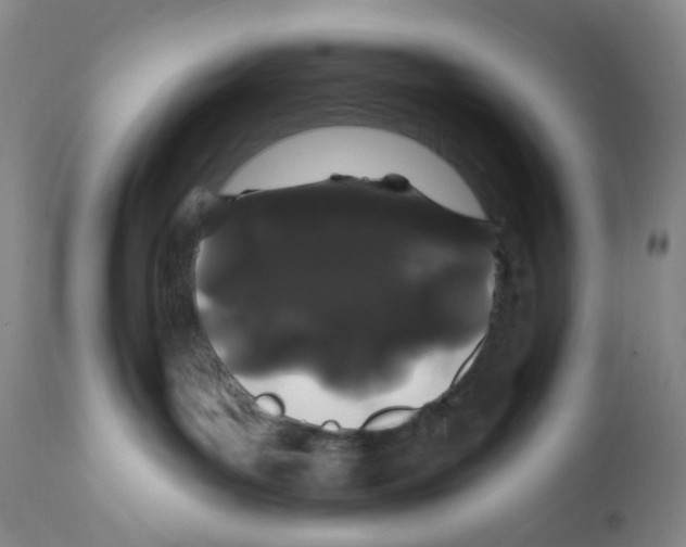 X0000111890143200908201330