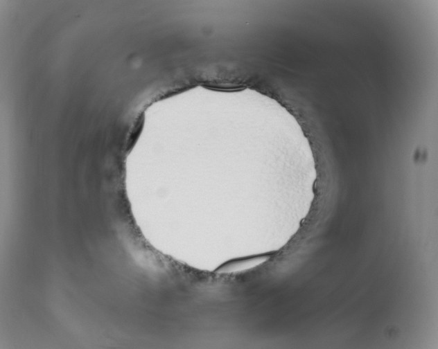 X0000111890144200908201330