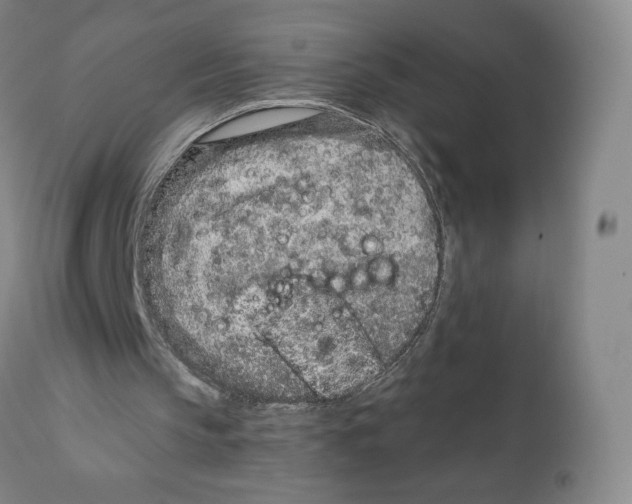 X0000111890145200908201329