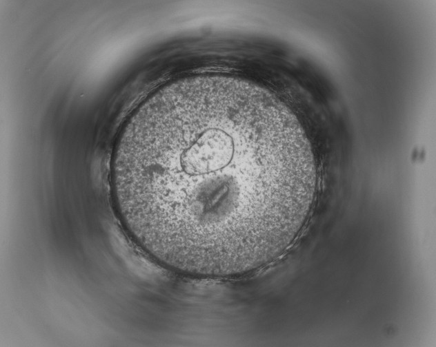 X0000111890146200908201329