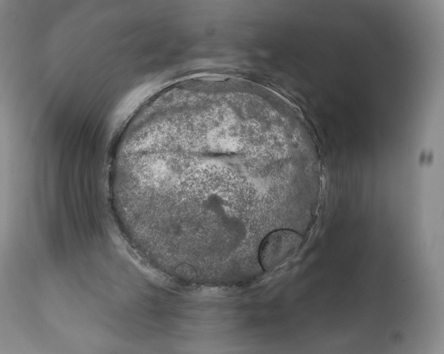 X0000111890149200908201329