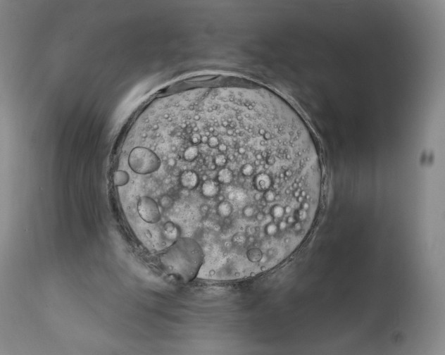 X0000111890151200908201329