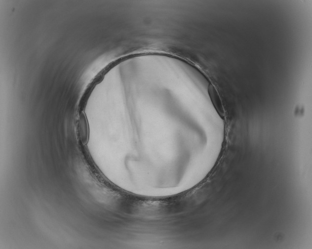 X0000111890152200908201329