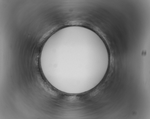 X0000111890153200908201329