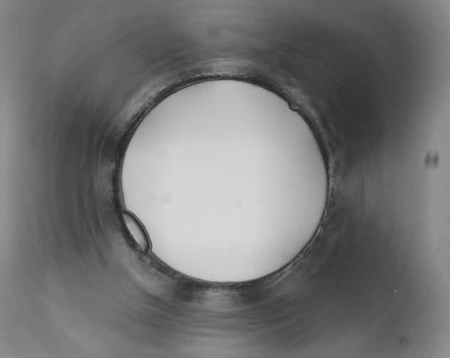 X0000111890154200908201329