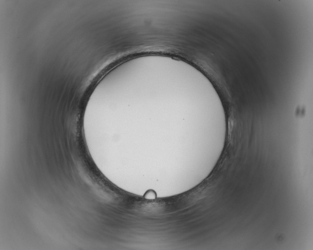 X0000111890156200908201329