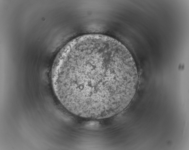 X0000111890162200908201330