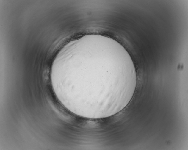 X0000111890166200908201330