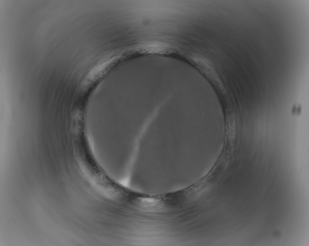 X0000111890167200908201330