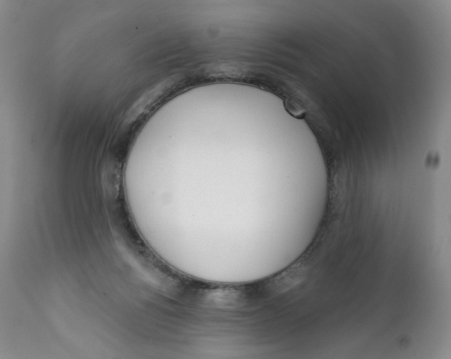 X0000111890168200908201330