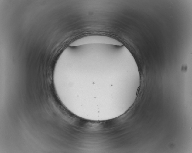 X0000111890170200908201330