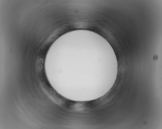 X0000111890171200908201330