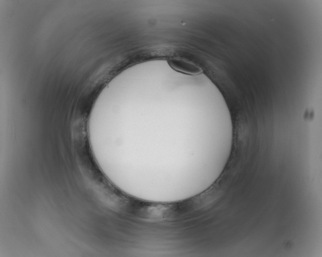 X0000111890172200908201330