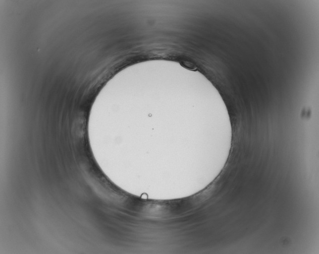 X0000111890174200908201330