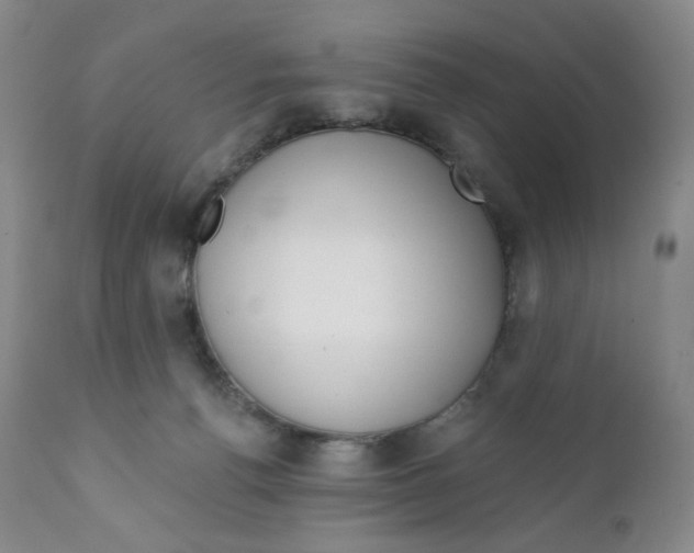 X0000111890176200908201330