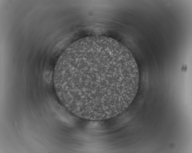 X0000111890177200908201330