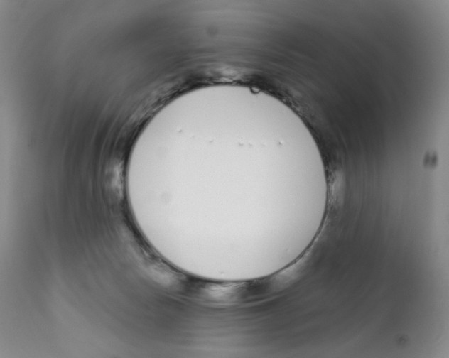 X0000111890178200908201330