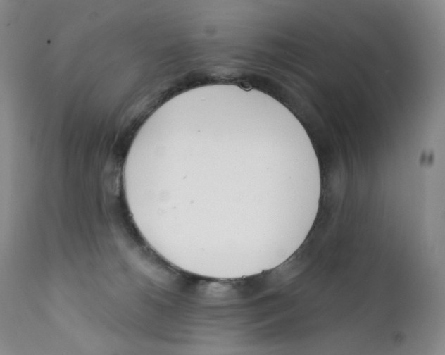 X0000111890180200908201330