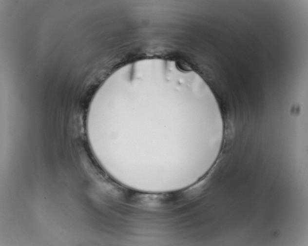 X0000111890182200908201330