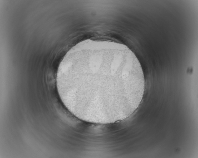 X0000111890186200908201330