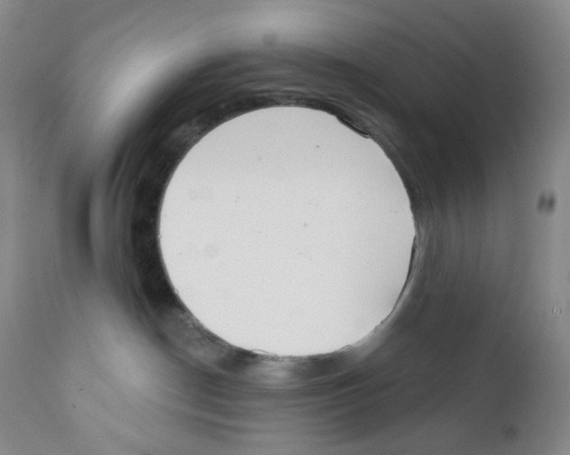 X0000111890190200908201330