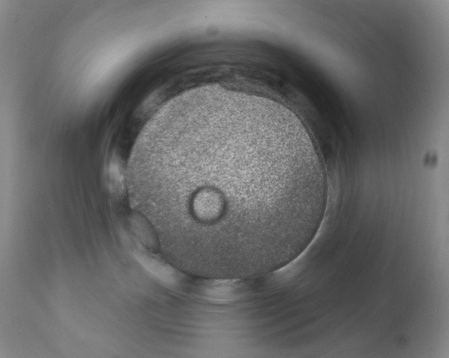 X0000111890191200908201330