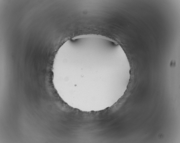 X0000111890192200908201330