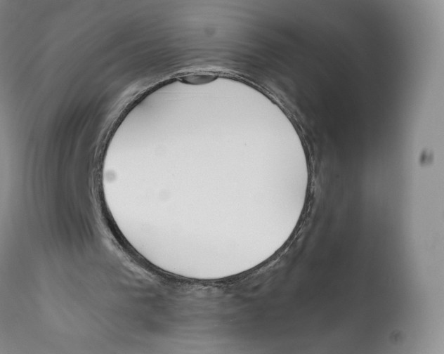 X0000111890193200908201329