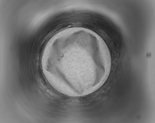 X0000111890194200908201329