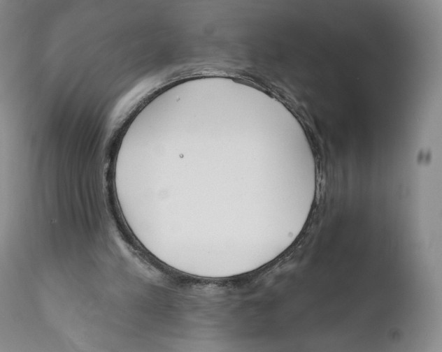 X0000111890197200908201329