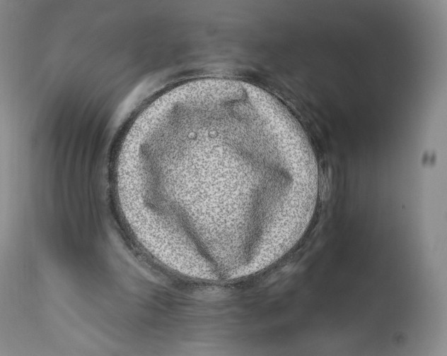 X0000111890198200908201329