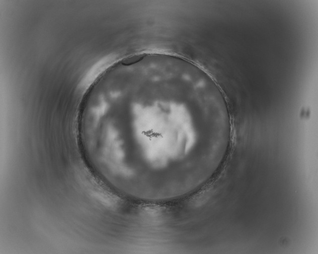 X0000111890199200908201329