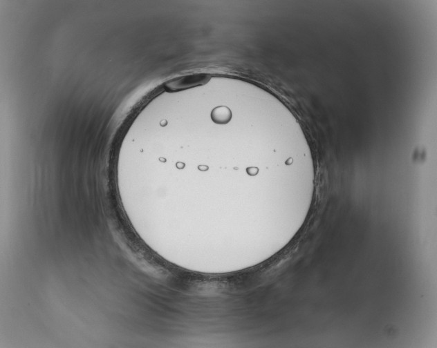 X0000111890200200908201329